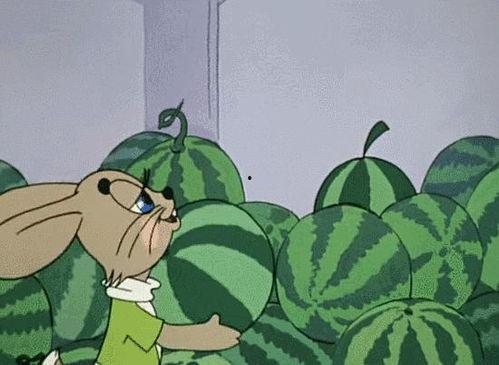 全球吃瓜娱乐,瓜田李下，娱乐盛宴