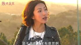 二哥吃瓜娱乐圈