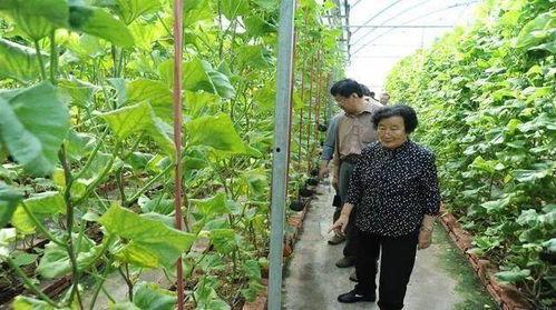 娱乐吃瓜戴手环的是谁